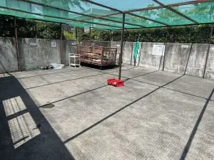 ダイアパレスグランデージ湘南平塚