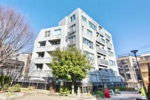 コハク新中野