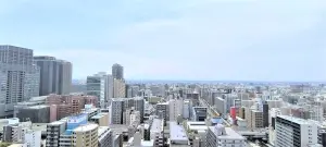 エルザグレース堀江タワー