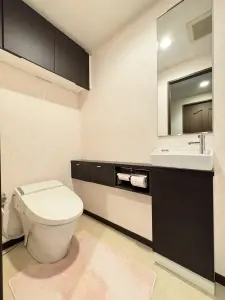 ライオンズマンション新安城