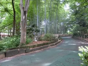サンシティＪ棟