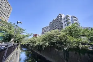 グランアルト加賀