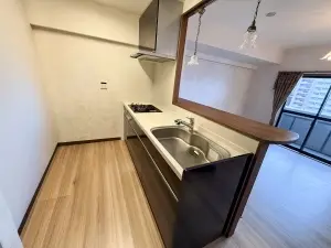 ダイアパレス平塚見附