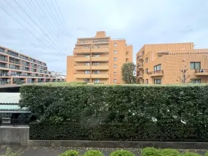 ライオンズマンション成城