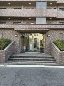 ルピナス湘南海岸