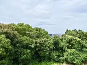 マンサール白山