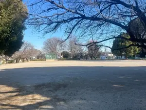 ライオンズマンション大宮本郷町