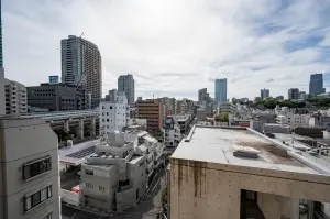 ライオンズプラザ東麻布
