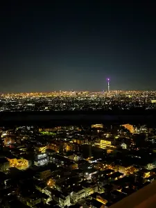 ザ・タワーズ・ウエスト