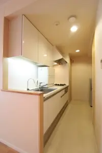 コスモ南鳩ケ谷センターコート