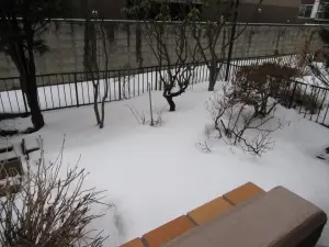 ライオンズマンション旭ヶ丘公園第二