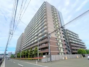所在階は１１階