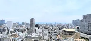 エルザグレース堀江タワー