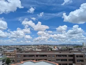 ルーフバルコニーからの眺望