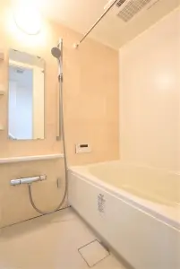 ライオンズマンション天神町