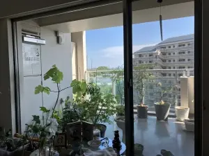 パークハウスフェリシア