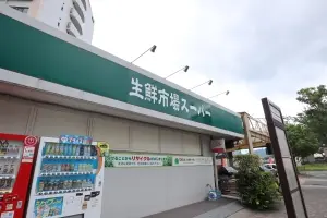 レークヒルズ野多目１番館Ｂ