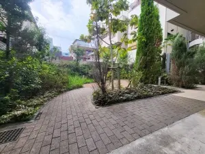 ソルフィエスタ亀戸