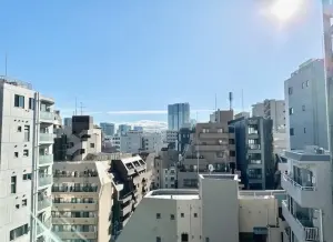 ライオンズマンション麻布十番南