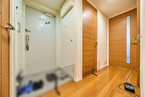 カワサキアイランドスイート