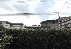 藤和シティホームズ綾瀬