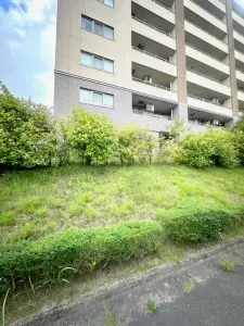 Ｄ’レスティア南光台