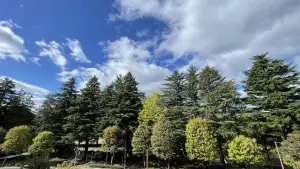 プレミスト仙台西公園