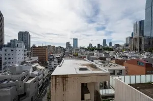 ライオンズプラザ東麻布