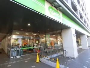 ライオンズガーデン武蔵関公園弐番館