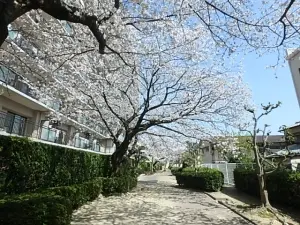 コープ野村東姪浜