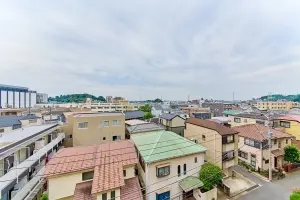 ナイスアーバン新川崎ステイツ