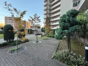 敷地内には緑のある広場があります。