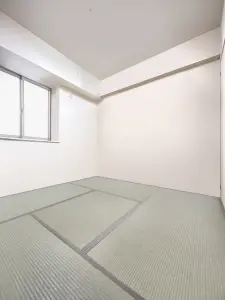 アルフェイス北千住