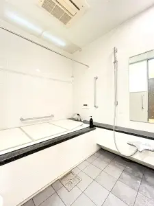 ライオンズタワー葵