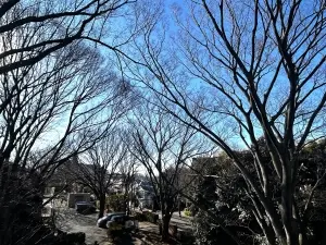 フォレストレイクひばりが丘　Ｍ棟