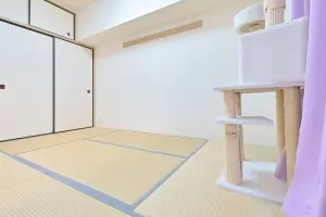 ファーネスト荒江