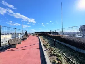 シーズガーデングリーンパティオ