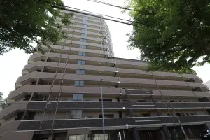 ナイスパークフィールド宮城野原公園