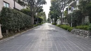 デュオ・スカーラ用賀２