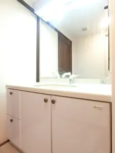 ライオンズマンション西院
