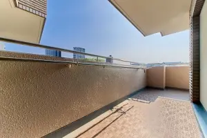 ステラスイート大井