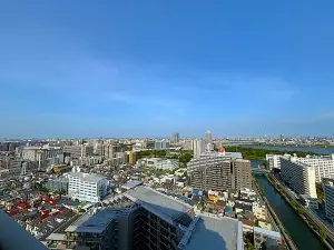 ライオンズタワー大島
