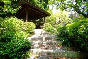 パルティール赤坂