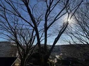 フォレストレイクひばりが丘　Ｍ棟