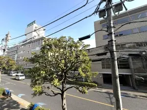 南東向きバルコニーからの眺望