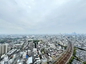 ザ・ライオンズ　ミッドキャピタルタワー
