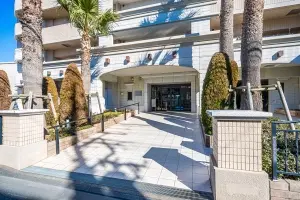 アデニウム川口元郷
