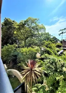 ゼファー鎌倉由比ガ浜