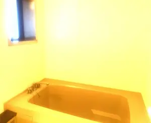 コスモ上尾ロイヤルフォルム