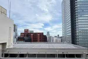 ライオンズマンション本町